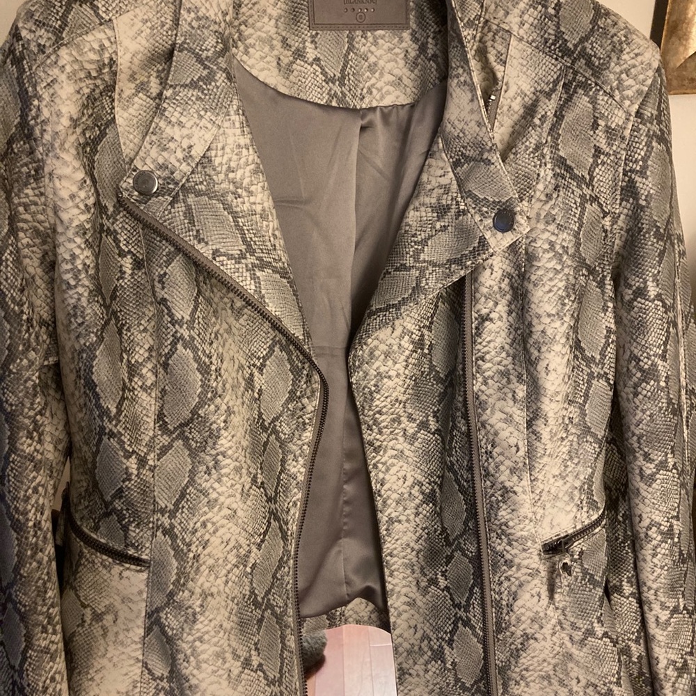 Blank NYC Vegan Snake Moto